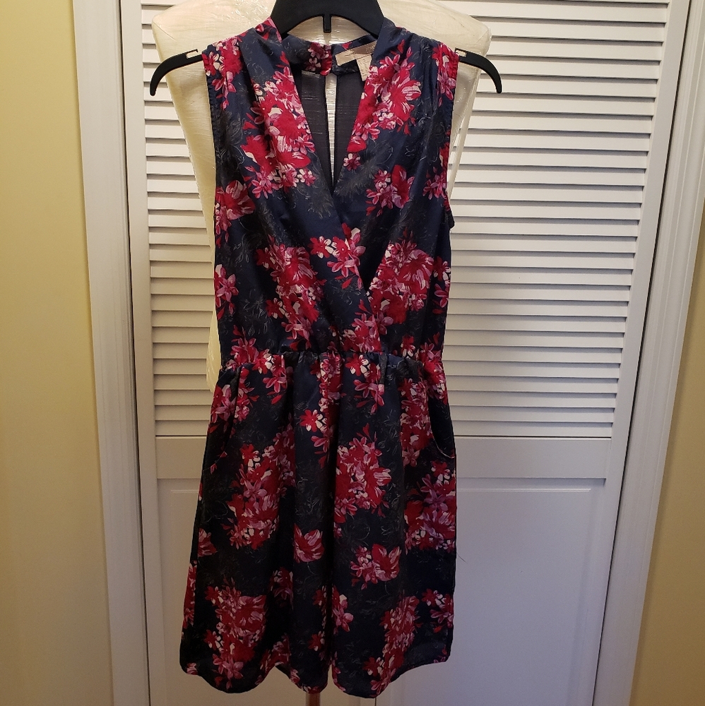 Forever 21 Blue and Pink flower sun dress
